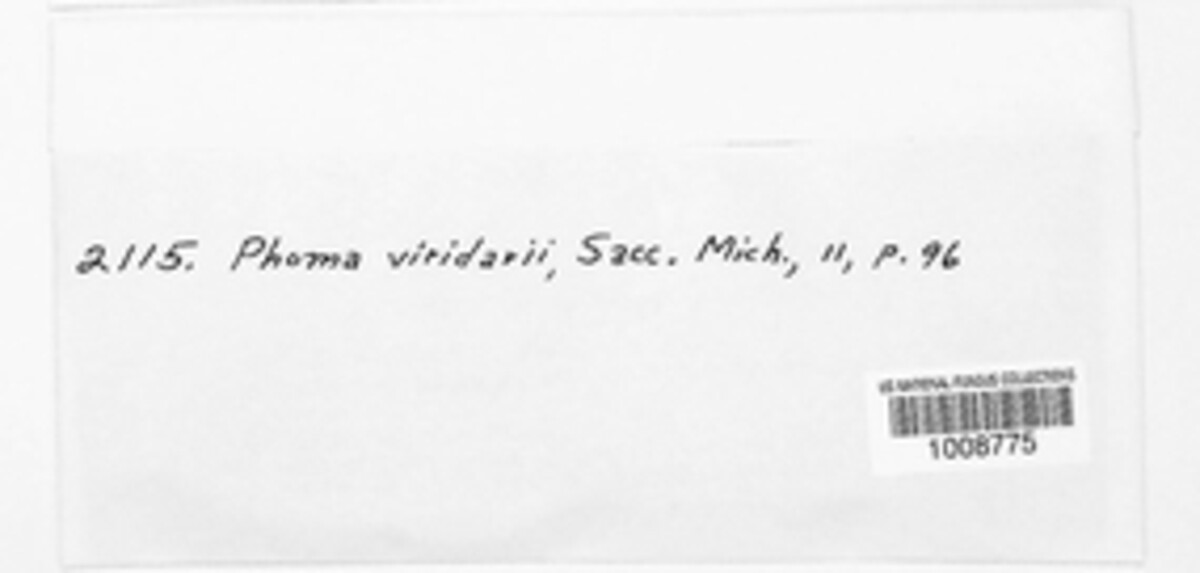 Phomopsis viridarii image